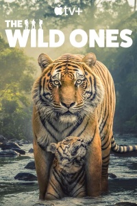 В мире дикой природы